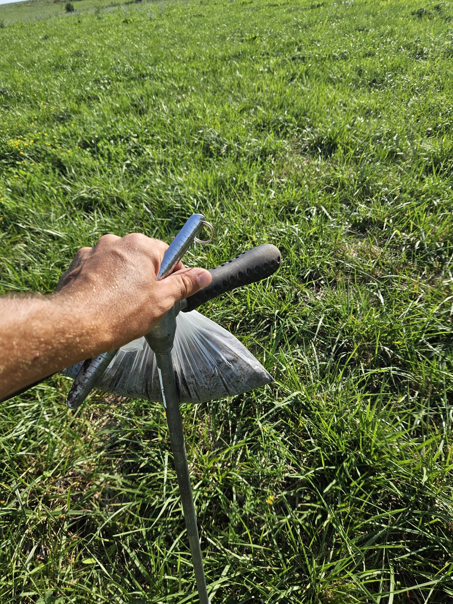 Seba Purtscher tweet media