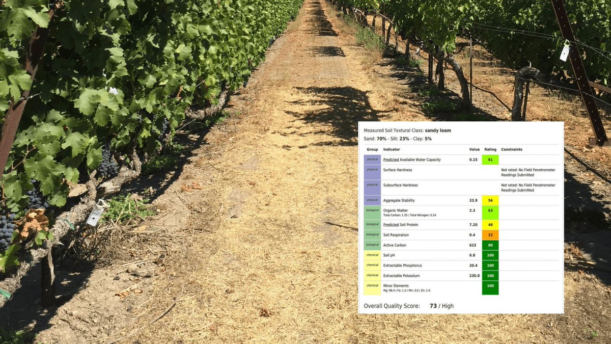 Planting a new vineyard? Soil analysis can help determine ideal vine varieties and guide fertilization for long-term success. Learn how to set the stage: buff.ly/492Qt3b 

#vineyard #soil