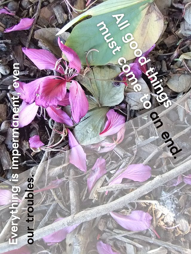 hisui_web1711's tweet image. #忍者CODE のWeb制作＆デザインコースで、STEP6「【課題/実務編】オリジナルアートポスターを作成してみよう」
課題提出して合格しました🙌🎊
#Webデザイン #ヒスイのWebデザイン学習メモ

諸行無常を表現したアートポスターです！