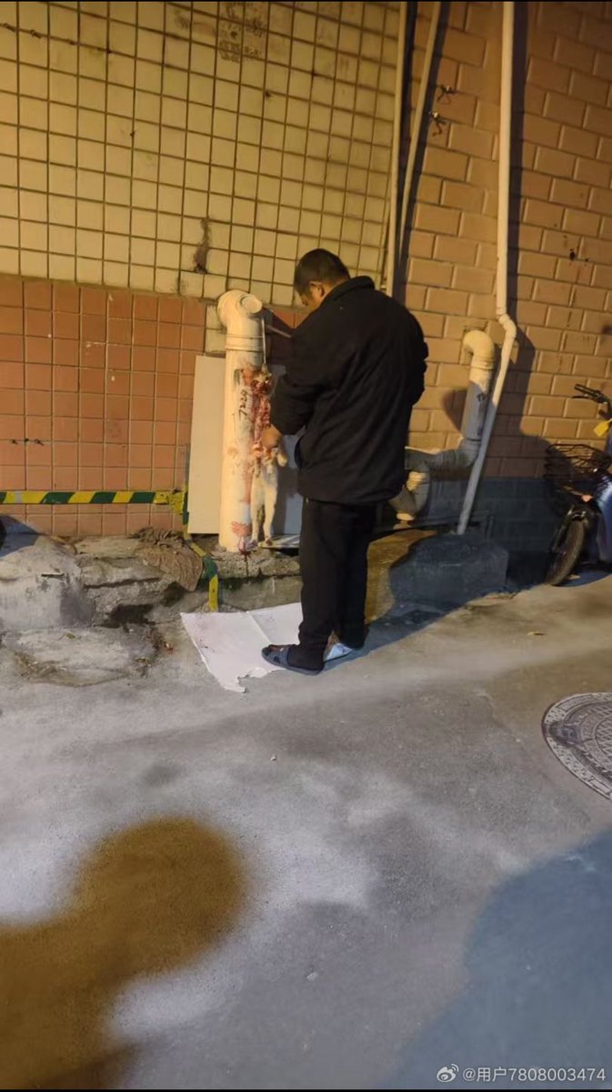 Everybody just watched another lunatic skin a cat alive at their apartment complex in China. Mass psychosis is real in China. 
WHO is in charge there?