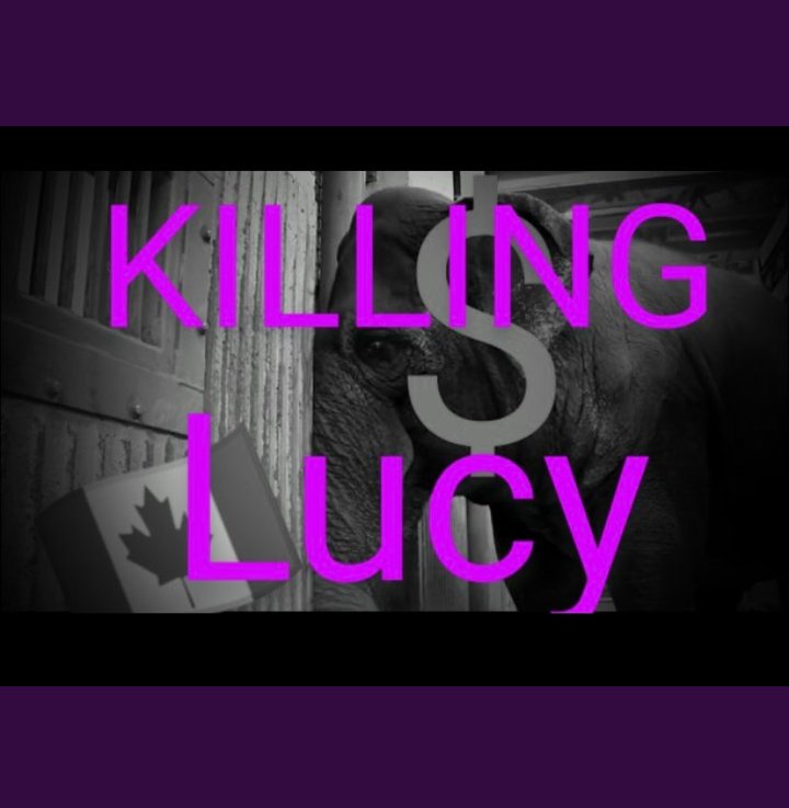 JulieKi53713414's tweet photo. Mon Mar10/25

🇨🇦🐘⛓️🌡️⚠️🫀🫁
⚠️FREEZING
Edmonton

Lucy

$ince 1977

TORTURE$

NEGLECT

ABUSE$

Evil POMPOU$ GREEDY LIE$ COVERUP$ MILLION$ DISGU$TING

#OurYeg #Yeg #EvZoo @BuildingOurZoo @CAZA_AZAC @AonCanada #ZooAnimalMortalityInsurance

🤑👿They're #KillingLucy forMILLION$💉☠️😭 https://t.co/IScvOAvzih