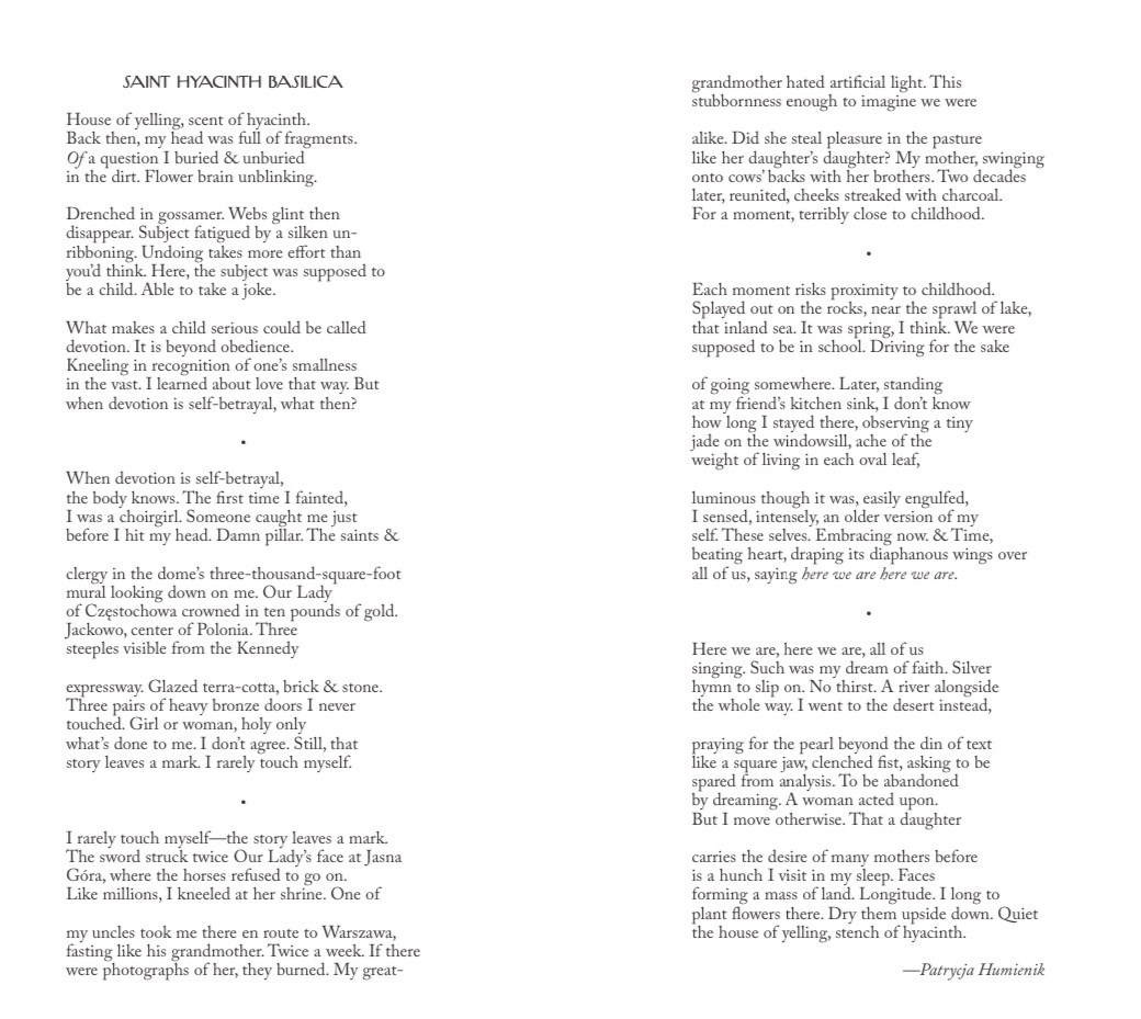 a sonnet crown from We Contain Landscapes (out with <a href="/Tin_House/">Tin House</a>  3/18) is in the latest issue of The New Yorker 🖤 

newyorker.com/magazine/2025/…