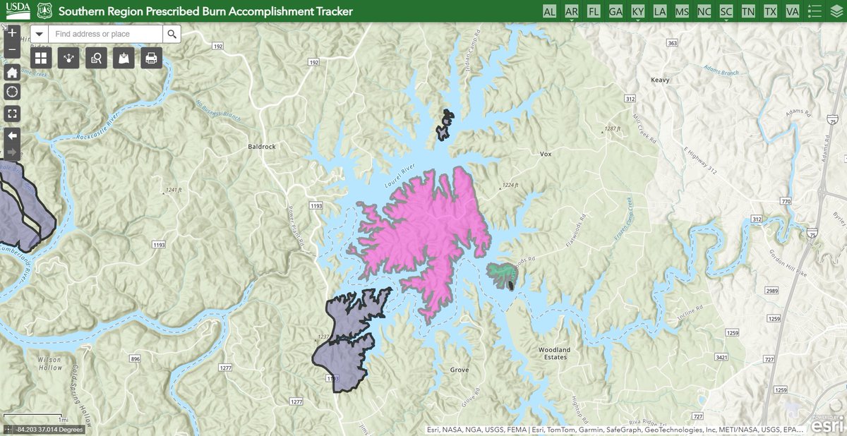 Daniel Boone NF tweet media