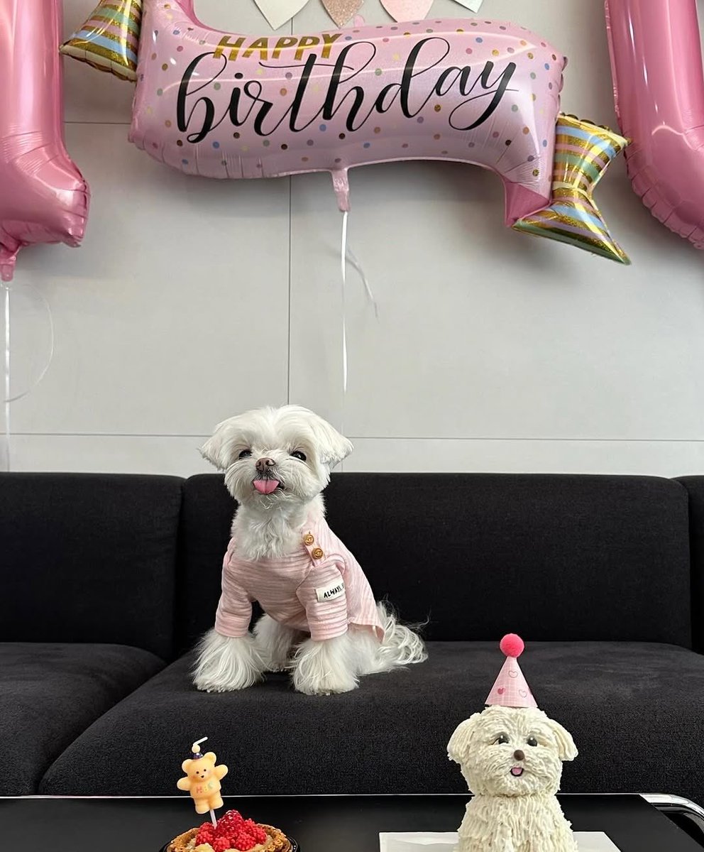 cyjprint's tweet photo. 250310 | INSTAGRAM [b_ftaq] 

"dad, my birthday is really exciting… it was such an amazing day…"

#HappyCocoDay
#Youngjae #영재 
@ChoiArs_YJ #GOT7 https://t.co/oGd0ZyhSgB