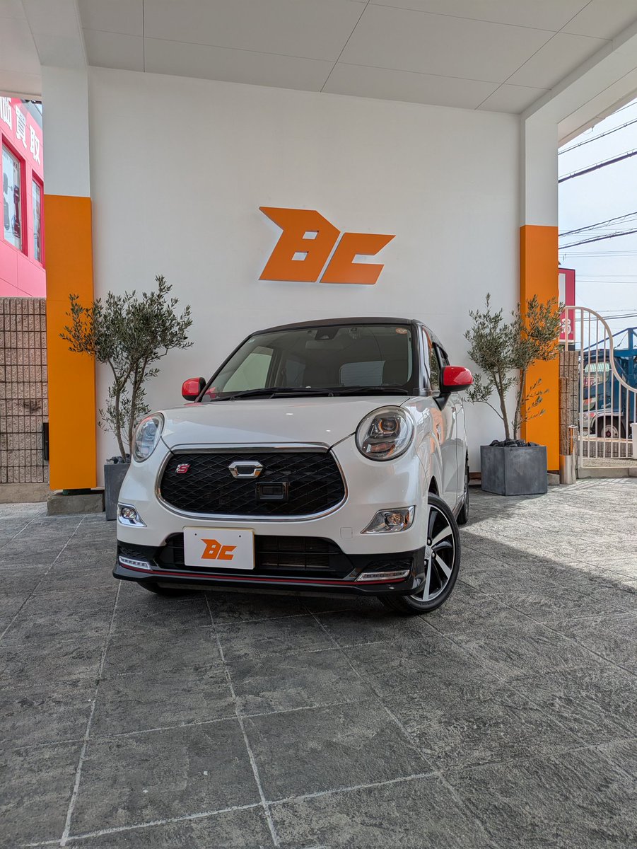 ３月８日　納車式❕️
車種　DAIHATSU　CAST
ツートンCOLOR
一目惚れで決定☺️
可愛いとカッコいい両方を兼ね備えたハイブリッドな車（笑）
森浦さんはじめバディカ神戸西店のみなさま、中野社長ありがとうm(_ _)m　
#BUDDICA