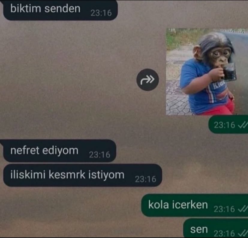 ilgi (@okkeyozaman) on Twitter photo 