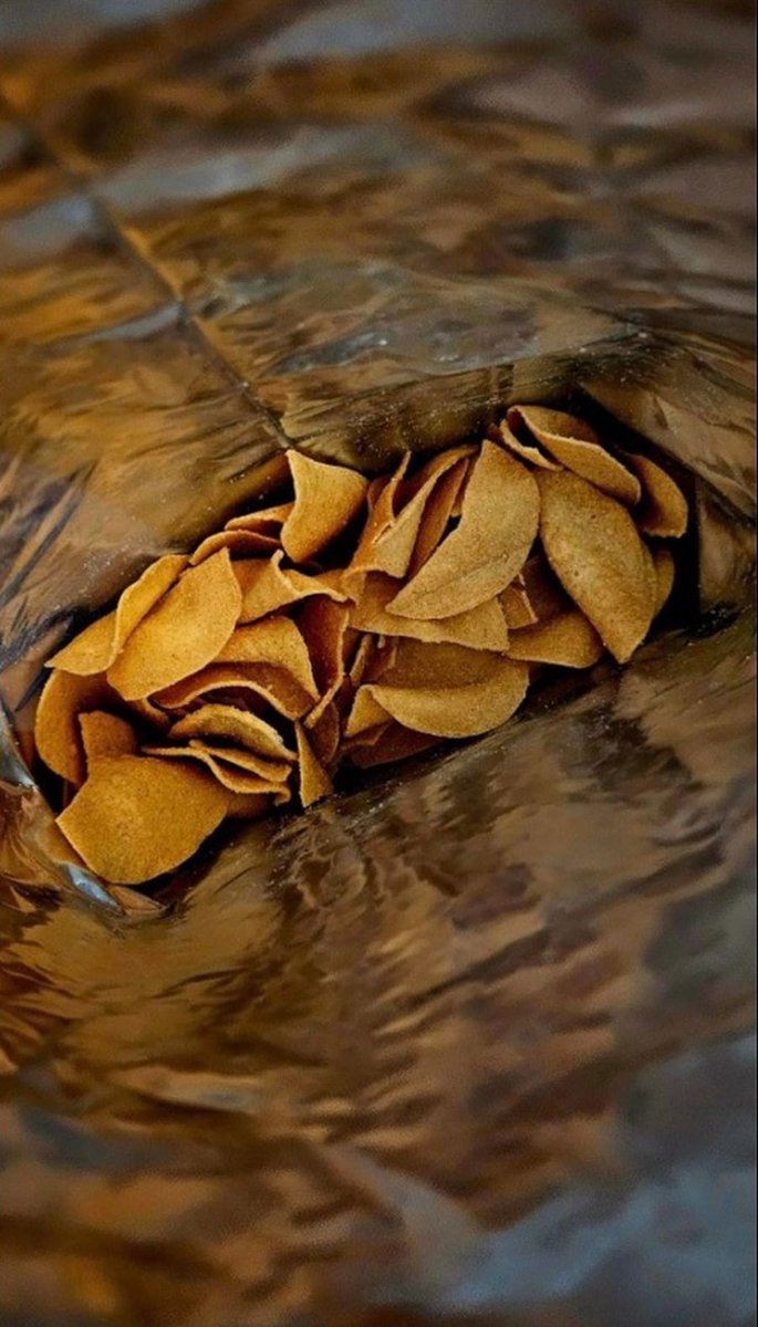 The_LadyAnn's tweet image. "Chips in a Bag," 3-10-24 😊

#funwithphotography