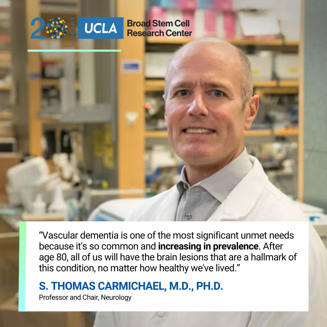 UCLAstemcell's tweet photo. We're celebrating 20 years of impact at the UCLA Broad Stem Cell Research Center! From groundbreaking research to transformative collaborations, we're defining the next era of regenerative medicine.🧪
Dive into our impact report: https://t.co/VJBzi964pa
#StemCellScience https://t.co/oWpsZXDFHC