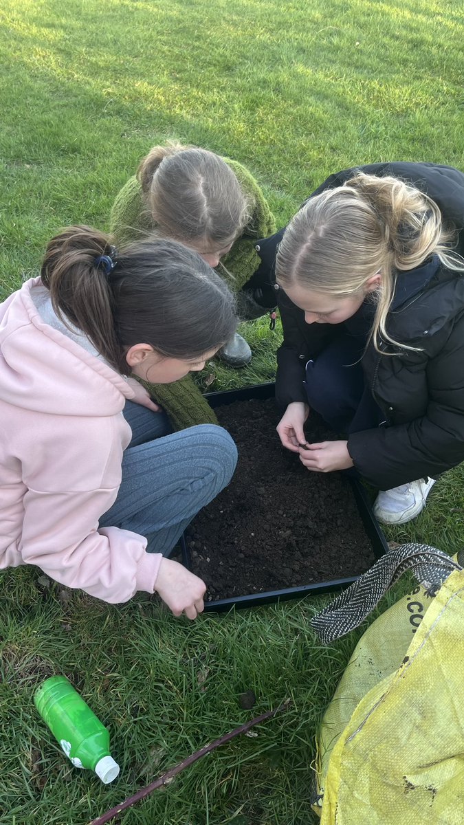 Eco Club has been busy transforming the eco garden after the previous storms destroyed the allotment area. They have redesigned the vegetable and planting area and made mini greenhouses ready for planting seeds next week. #StNicksEcoClub #StNicksCreativity #StNicks #GreenFlag