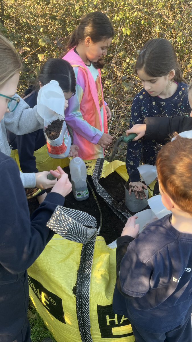 StNicksLower's tweet photo. Eco Club has been busy transforming the eco garden after the previous storms destroyed the allotment area. They have redesigned the vegetable and planting area and made mini greenhouses ready for planting seeds next week. #StNicksEcoClub #StNicksCreativity #StNicks #GreenFlag https://t.co/DMn8dF0wqm