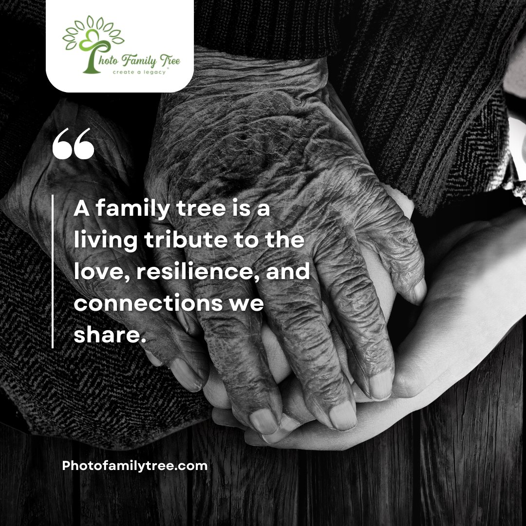 ajboodram's tweet image. Rooted in love, growing together.

Learn More: photofamilytree.com

#FamilyTree #GenerationsConnected #RootsAndBranches #CherishYourHeritage #TimelessBonds