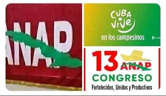 #AnapCuba, el pelotón cañero de la CPA La Reforma en Jatibonico  donde el corte no se detiene, se crece ante las dificultades #UnidosXCuba <a href="/DiazCanelB/">Miguel Díaz-Canel Bermúdez</a> <a href="/PartidoPCC/">Partido Comunista de Cuba</a> <a href="/DrRobertoMOjeda/">Dr. Roberto Morales Ojeda</a> <a href="/RamnMonte1/">José Ramón Monteagudo Ruiz</a> <a href="/FelixDuarteOrte/">Félix Duartes Ortega</a> <a href="/SarduyYamila/">Yamila Sarduy Martínez</a> <a href="/OsmaniPerez18/">Osmani Pérez Márquez</a> <a href="/YoelPalmero3/">Yoel Palmero</a>