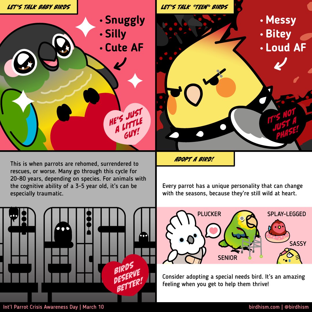 birdhism's tweet photo. It's Int'l Parrot Crisis Awareness Day. It’s time to rethink how we treat parrots, and how we can do better. 
(Pls share) #parrotcrisis #birds #art #comic https://t.co/Wx2uVzz613