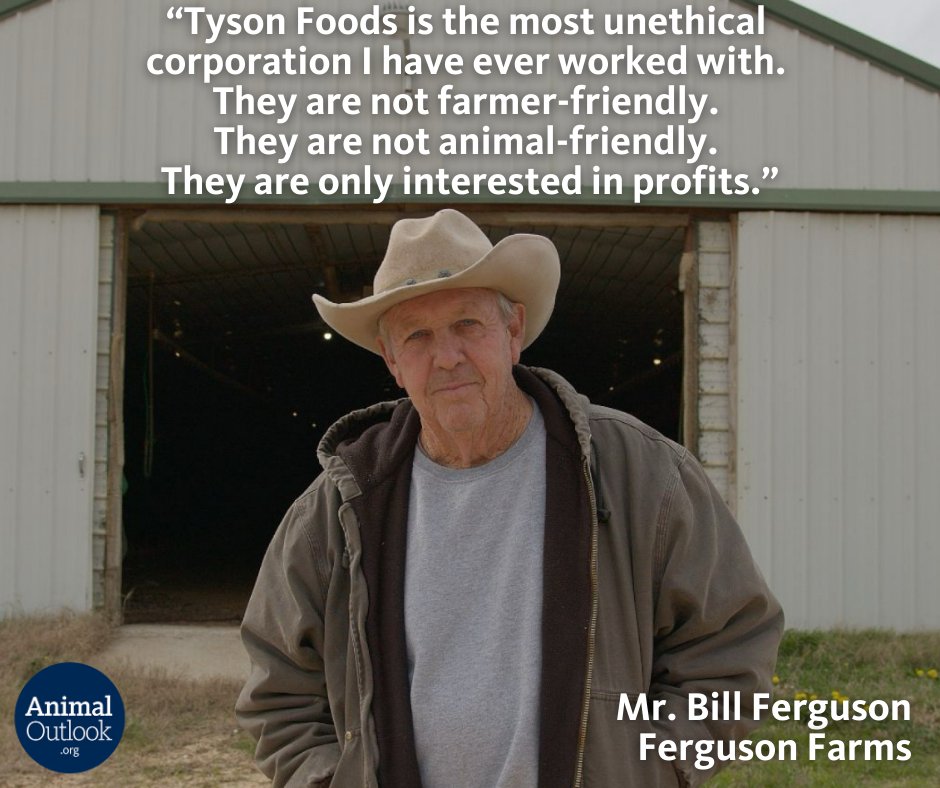 🚨 When a farmer speaks the truth, we listen.
Mr. Bill Ferguson spent years working with Tyson Foods before making the brave choice to transition away from animal agriculture.
We're proud to support Bill's journey toward a more ethical, sustainable future — because there's always