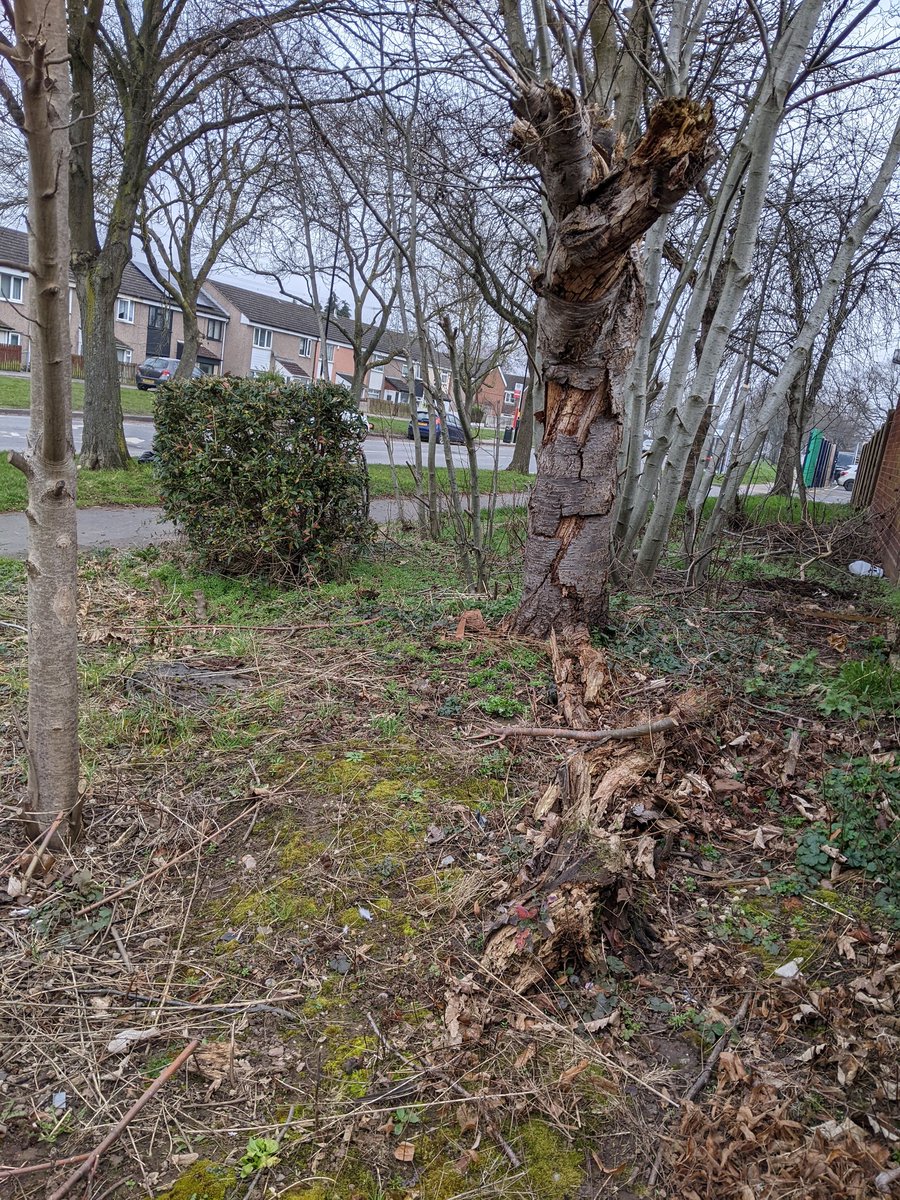 Jill O’Hare tweet media