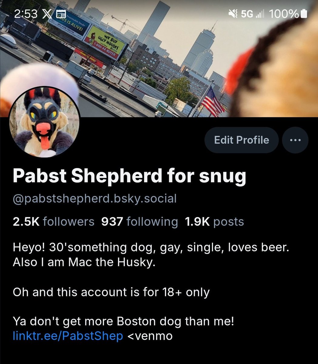 Mac the Husky tweet media