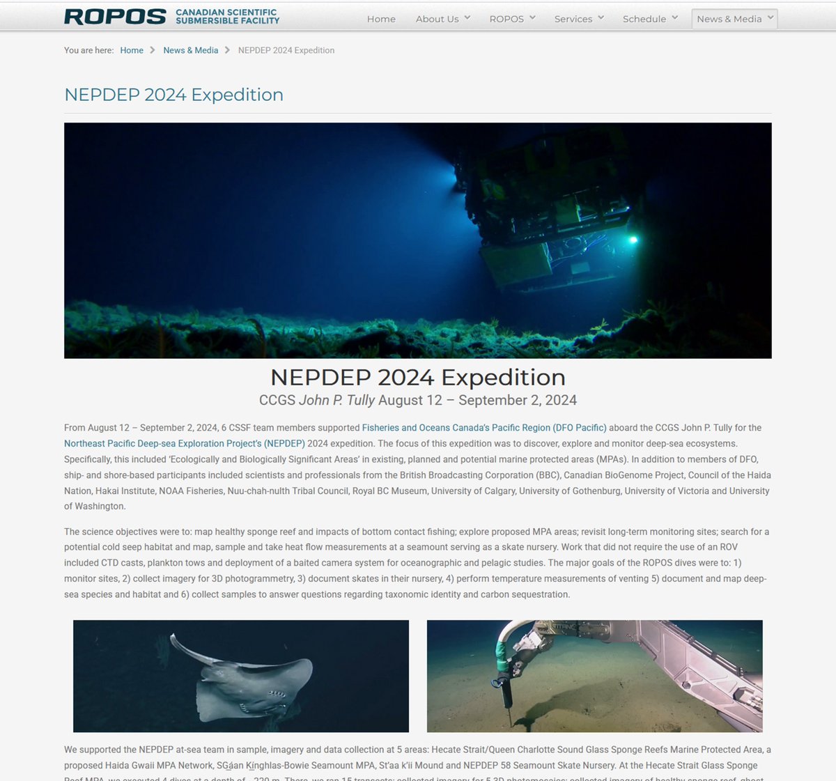 Last summer, we captured incredible selfie footage of <a href="/ROPOS_ROV/">ROPOS ROV</a>,  took ground-breaking temperature measurements with an extra long probe  &amp; spotted a rare squid with eggs with the NEPDEP 2024 team.

Read about it on our website!  
tinyurl.com/bdd3ws4a 

#nepdep #DeepSea