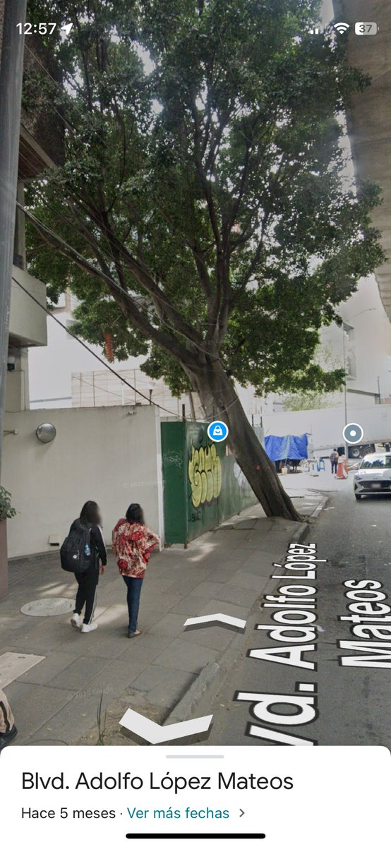 olafdickinson's tweet photo. Oye @PROFEPA_Mx este particular taló un árbol sobre vía pública y lo guarda dentro de su predio. Ccp @supercivicosmx https://t.co/ezkuJa735m