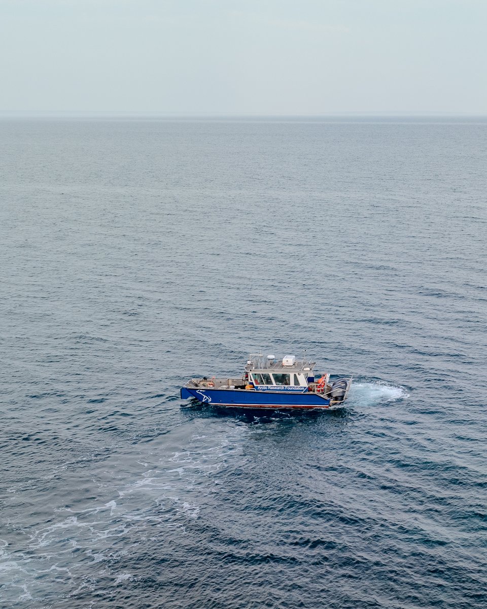 Our partners at <a href="/MuseumofNature/">Museum of Nature</a> used ARF’s landing craft to study seaweed biodiversity and kelp forests in Cambridge Bay. Their findings will contribute to the museum's reference collection and DNA database to support future research in the region. #ArcticScience