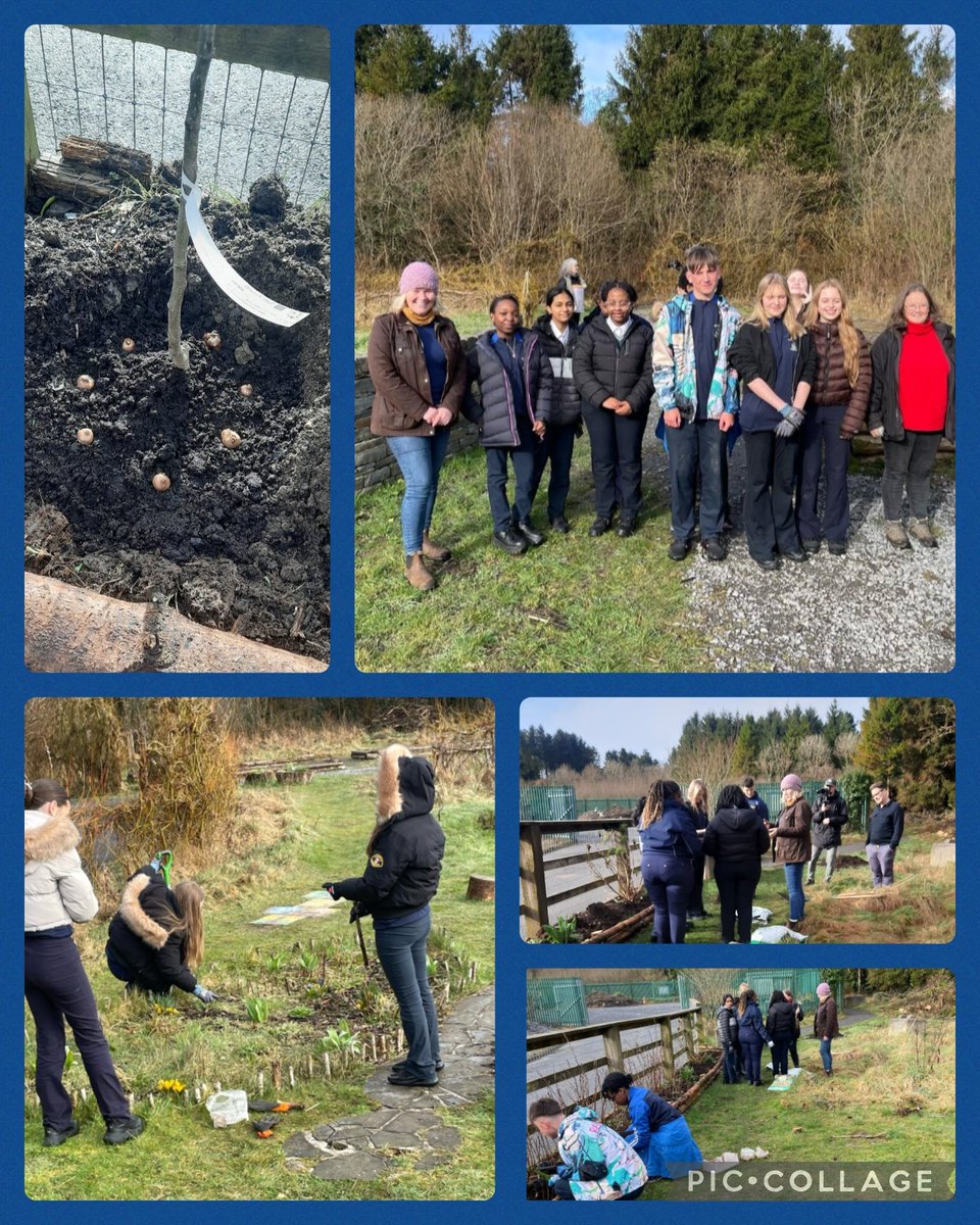 As part of #TreeWeek members of our Green Schools Committee planted some bare root apple trees and flowering bulbs in the Community garden with <a href="/FriendsMerlinWD/">FriendsofMerlinWoods</a> and Biodiversity Officer Paula <a href="/GalwayCityCo/">Galway City Council</a>. Great learning took place on the day. <a href="/GreenSchoolsIre/">Green-Schools</a> #Biodiversity
