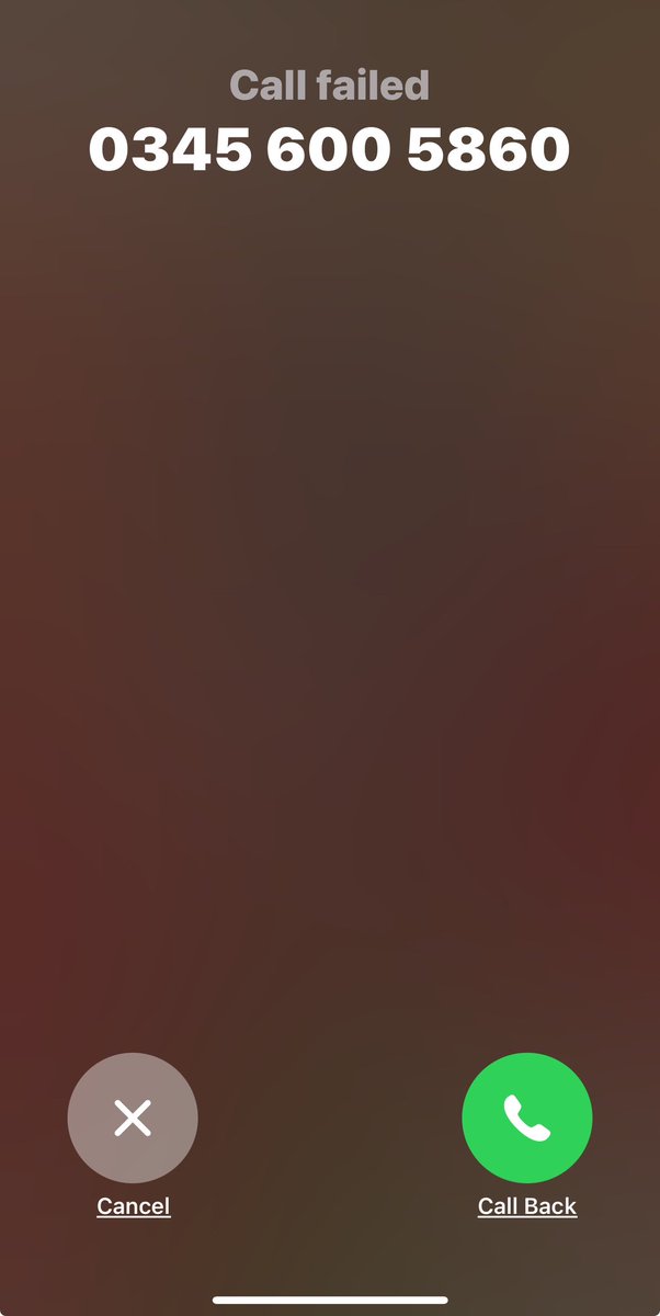 Nina Colquhoun tweet media