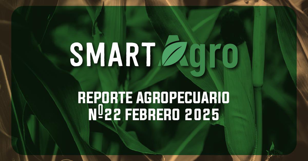 smartagrook's tweet photo. 🌱 SmartAgro #22 - *Febrero 2025*

📢 ¡Ya salió nuestro reporte mensual con las novedades más importantes del sector!

🚀 Accede fácilmente registrándote 👉 https://t.co/opptebgYoI

¡Sumate a la comunidad SmartAgro!

📱💻 📢 🎼 📽 |SmartAgroOk https://t.co/gFR9TGUauU