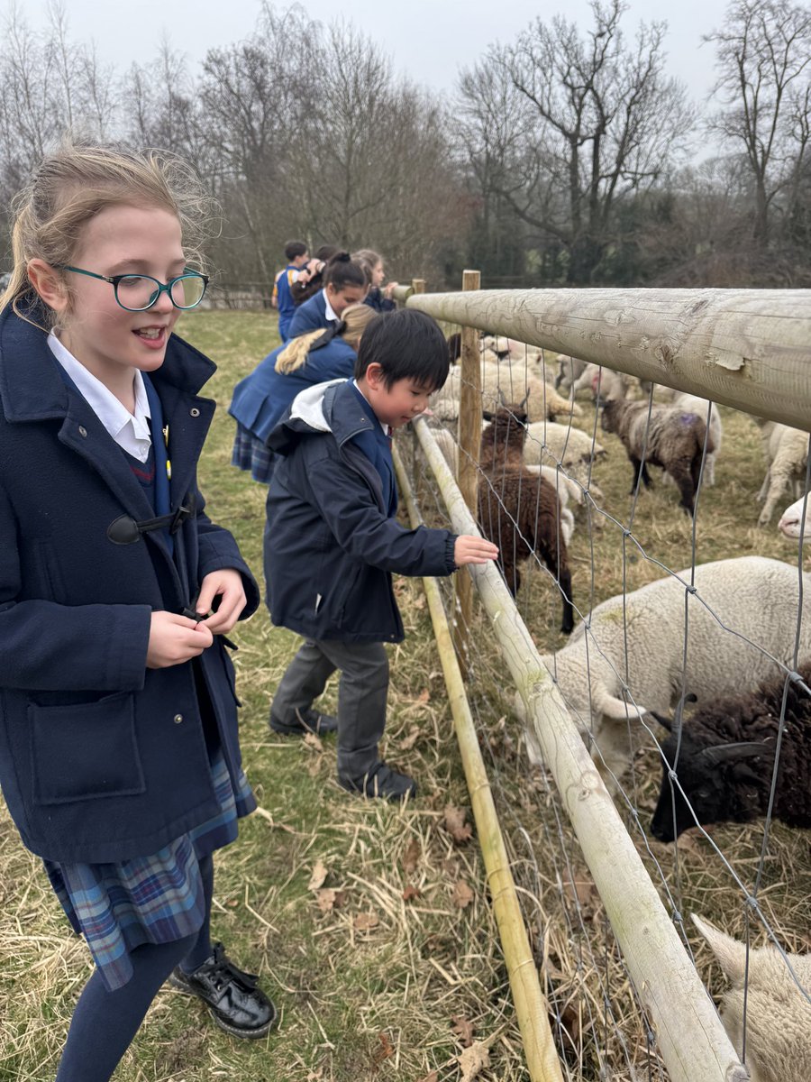 Eco club were discussing their new topic, Global Citizenship. They worked hard generating positive ideas on ways to plan more fundraising events and ways to support different charities. We then went to see our new baby lambs. #StNicksEcoClub #StNicksLower #StNicksDiscovery
