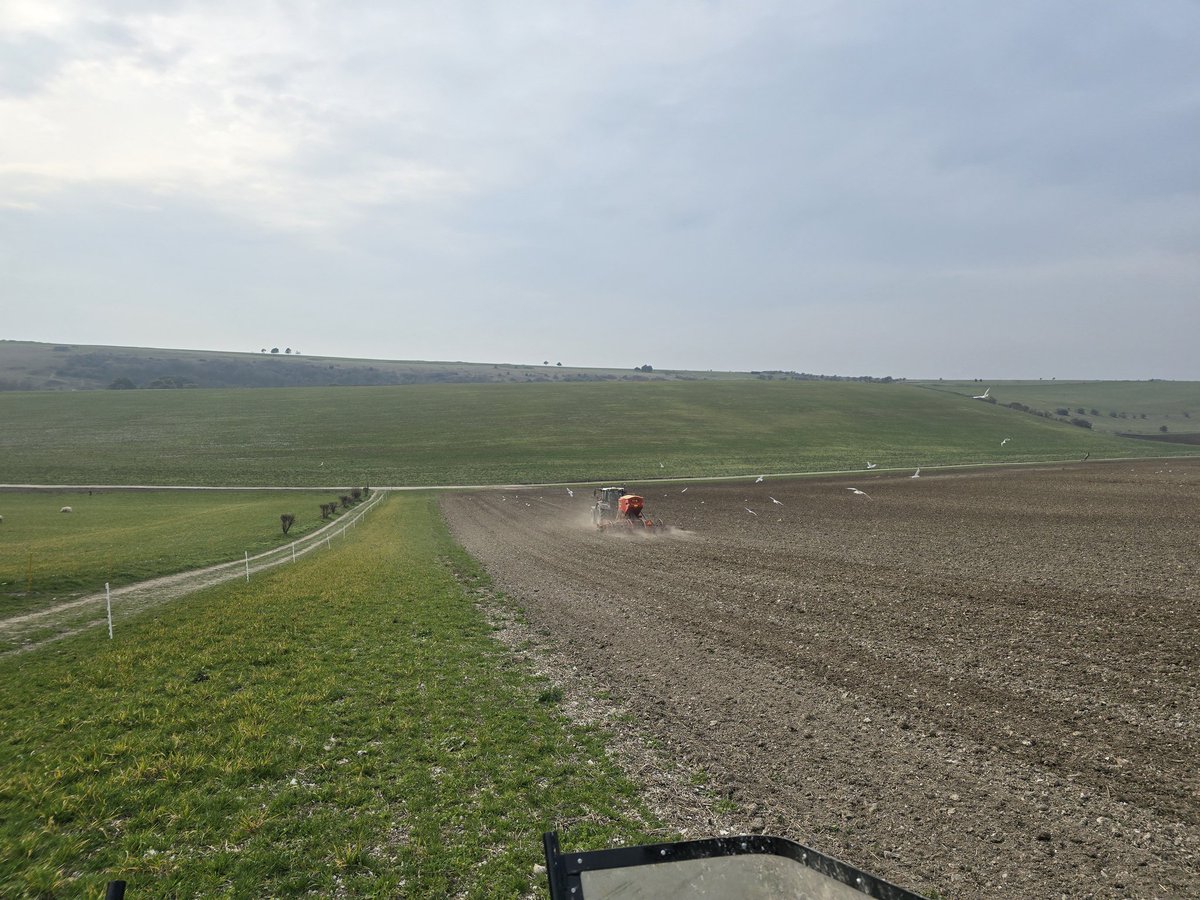 bwcarrfarms's tweet photo. Cows off ✅️
Sludge on ✅️
Fert on ✅️
Barley in ⏳️
Rain 👀 https://t.co/4GDkJvYXKR