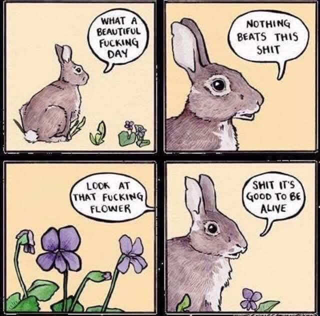 The Bad Guy tweet media