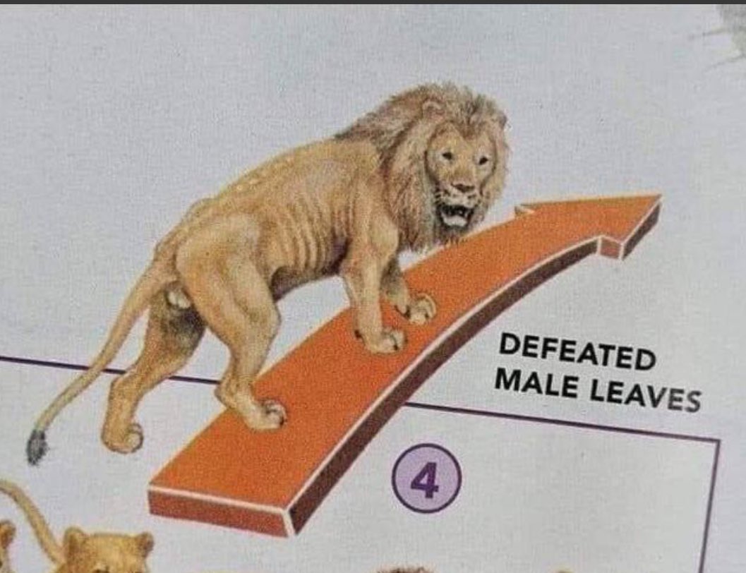 Traymont und Staiy nachdem sie sich mit Alicia Joe angelegt haben: