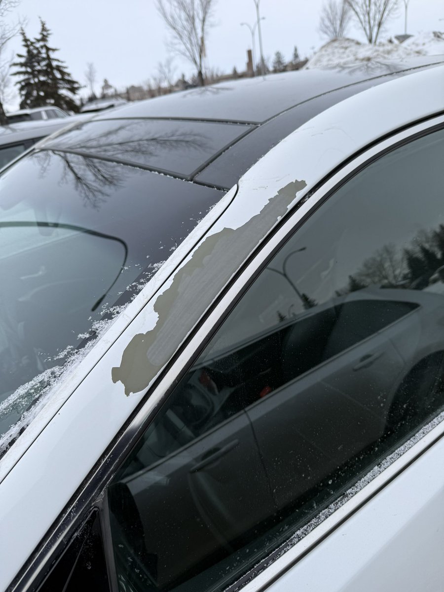 masyker's tweet photo. @HyundaiCanada my 2013 Santa Fe is experiencing this as well. Definitely unacceptable, and seriously disqualifies Hyundai being a brand I’ll consider for the new vehicle purchase we’ve been considering. I really hope this can be rectified for us consumers. https://t.co/IGY3HRmlxe