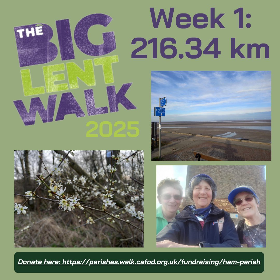 Holy Apostles & Martyrs Parish tweet media