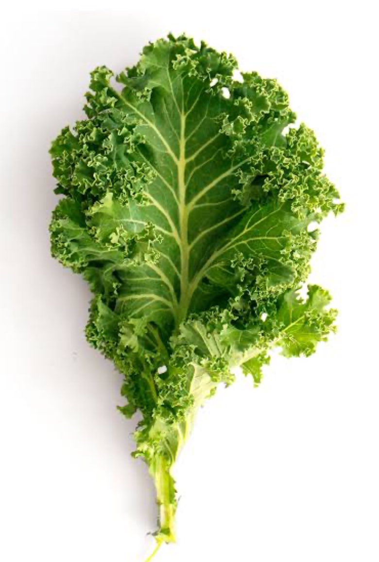 Maurizio tweet media