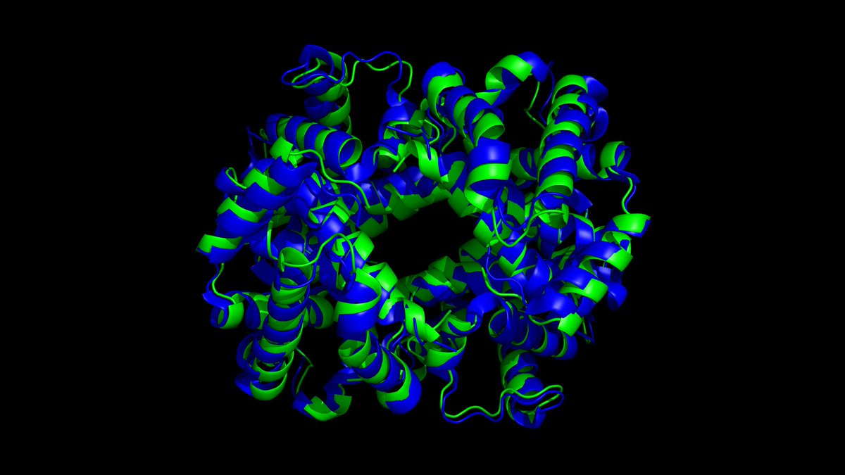 I'm getting more confident that Tenstorrent boards can become open &amp; better alternatives to GPUs in biotech.

Now that I parallelized triangle self-attention of AlphaFold 3 across both Tenstorrent Wormhole processors, we can predict the structure of proteins with up to ~750 amino