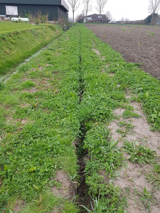 BayerCropNL's tweet photo. Infiltratiegreppel winactie!

Win een verrassingspakket met jouw foto van een infiltratiegreppel! Deel jouw foto en maak kans op een verrassingspakket t.w.v. €100,-!

Lees meer over de actie op onze website: https://t.co/HRbhMw9Hgr https://t.co/bYeZsDaBZQ
