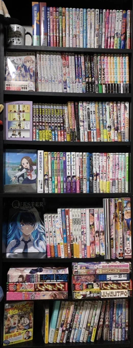 写真の全ての作品に、何かしらで吉田輝和が出ています。持っている方はぜひ探してみてください 