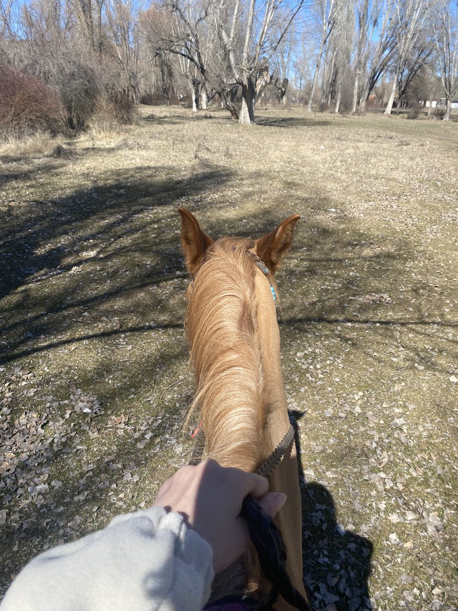 Kuaförüme bu sarıdan istediğimi nasıl anlatabilirim?
