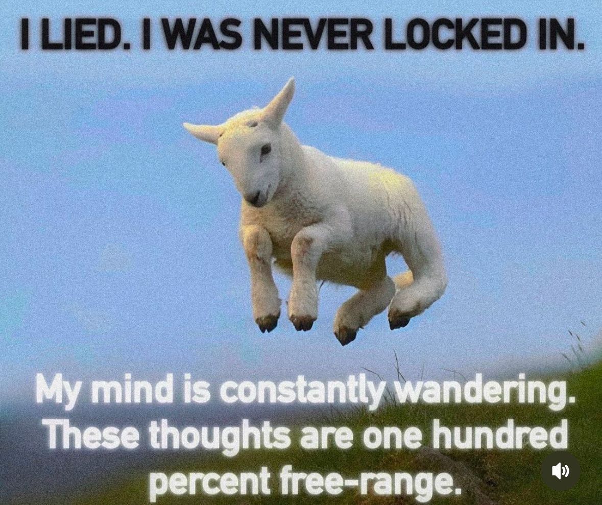 ADHDForReal's tweet image. 