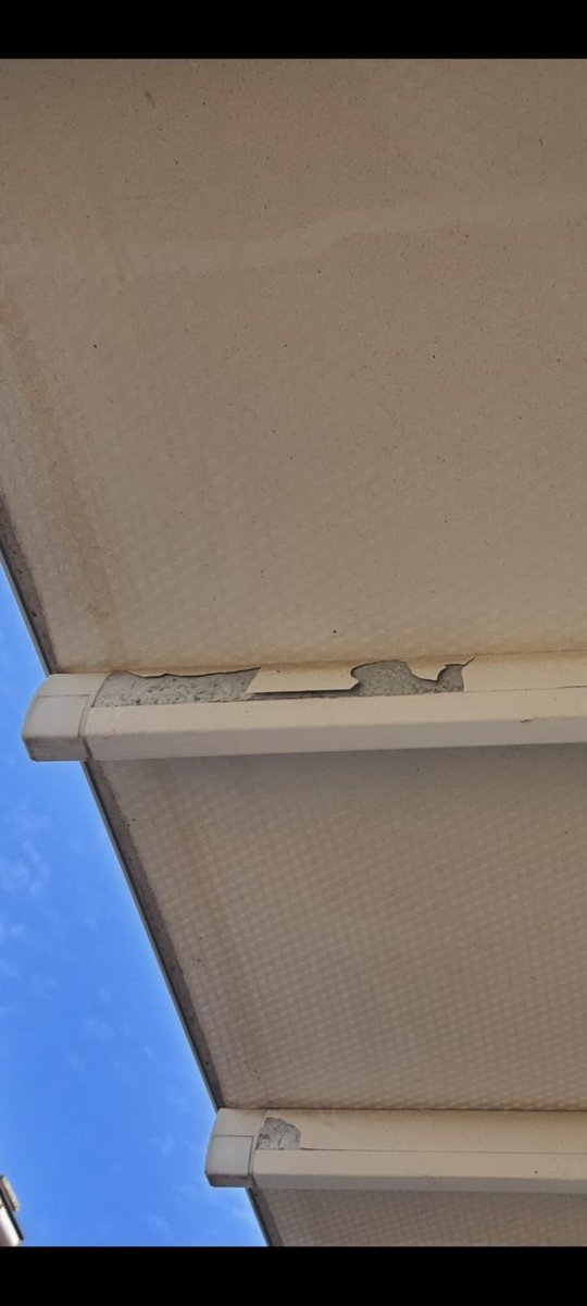 tanzer cereb tweet media