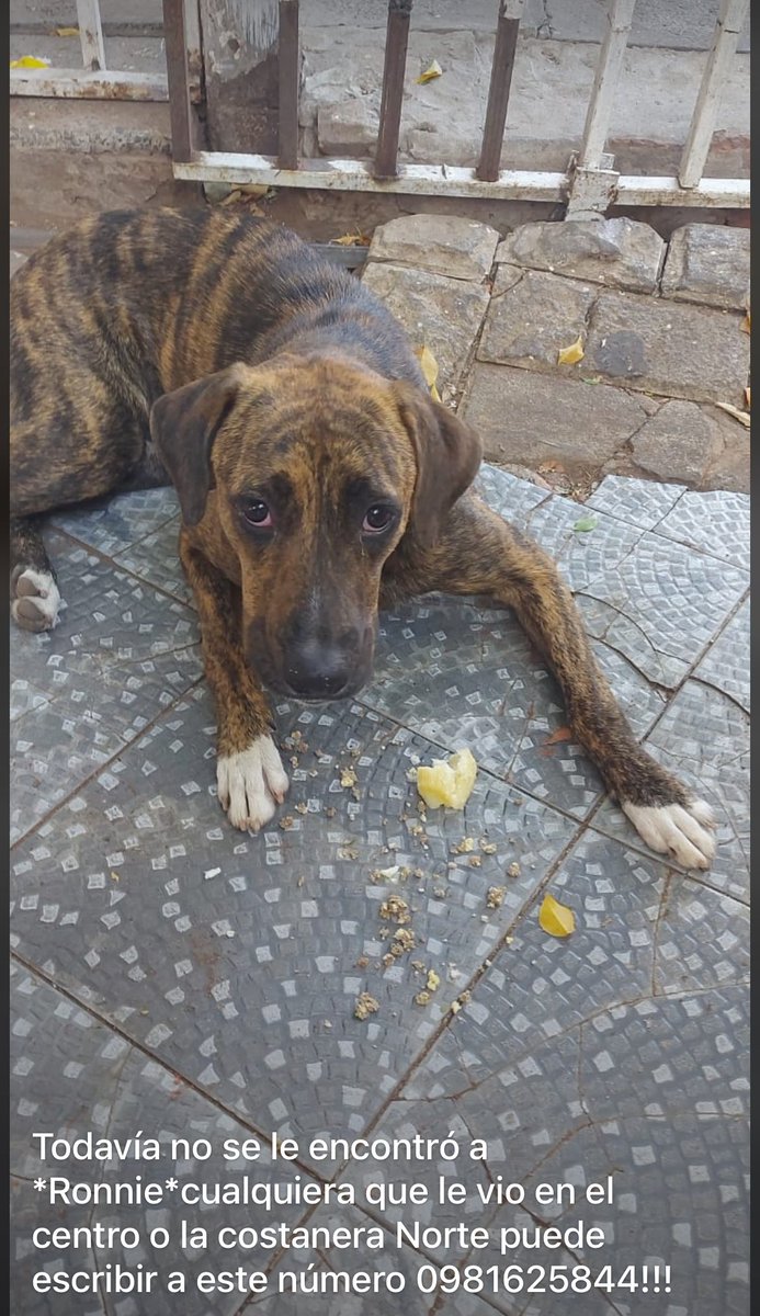 Karen Forcado ♥️🇵🇾🚩 tweet media