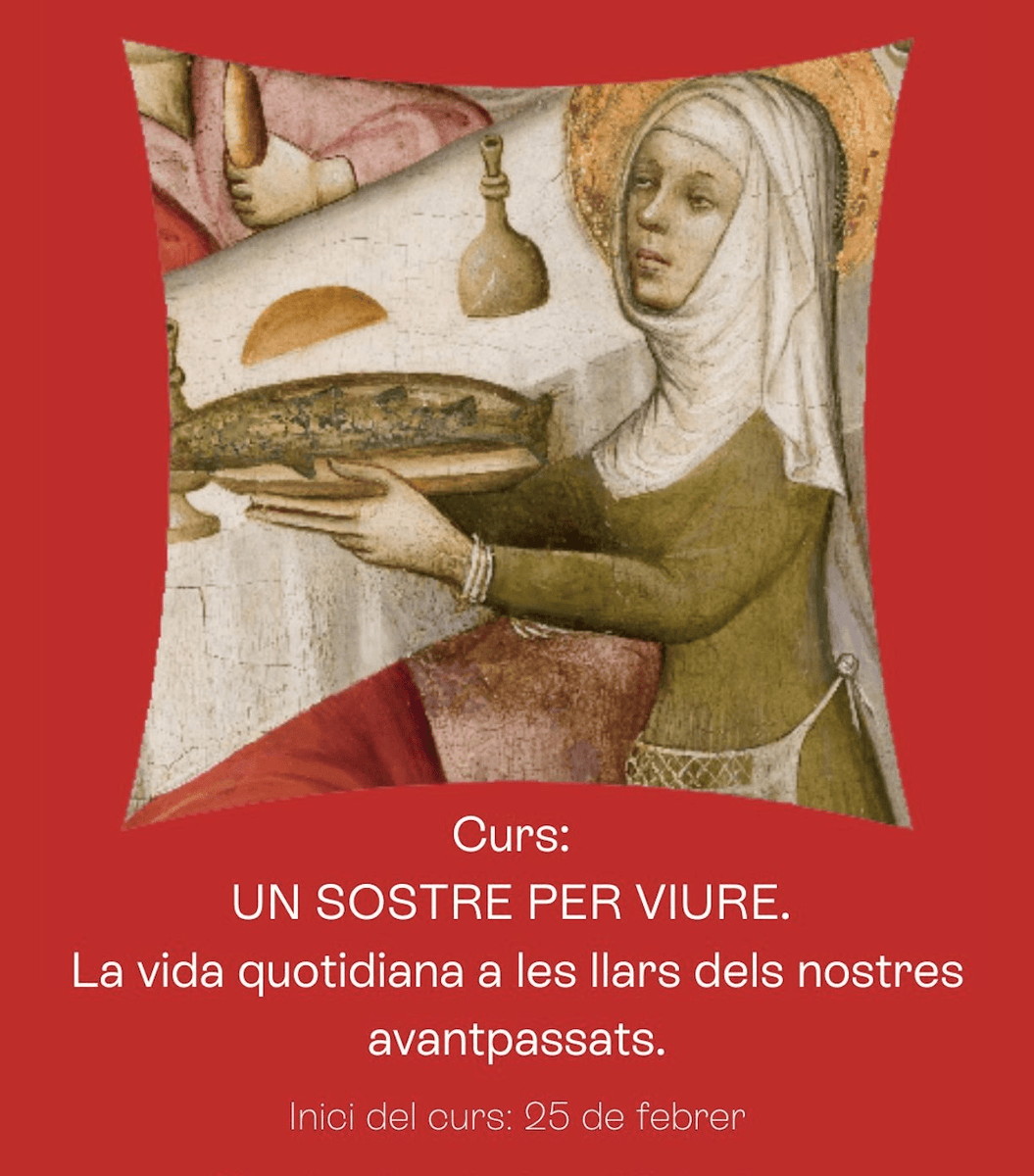 Irene Llop Jordana tweet media