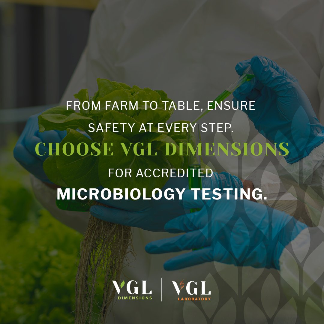 VGLDimensions's tweet image. 🔬 From Farm to Fork – Microbiology Matters! 🍽️

📩 Contact Anna at anna@vgldimensions.co.za or Billal at billal@vgldimensions.co.za for more information!

#VGLDimensions #FoodSafety #MicrobiologyTesting #FarmToFork #SafeFood #QualityAssurance #FoodIndustry #AccreditedTesting