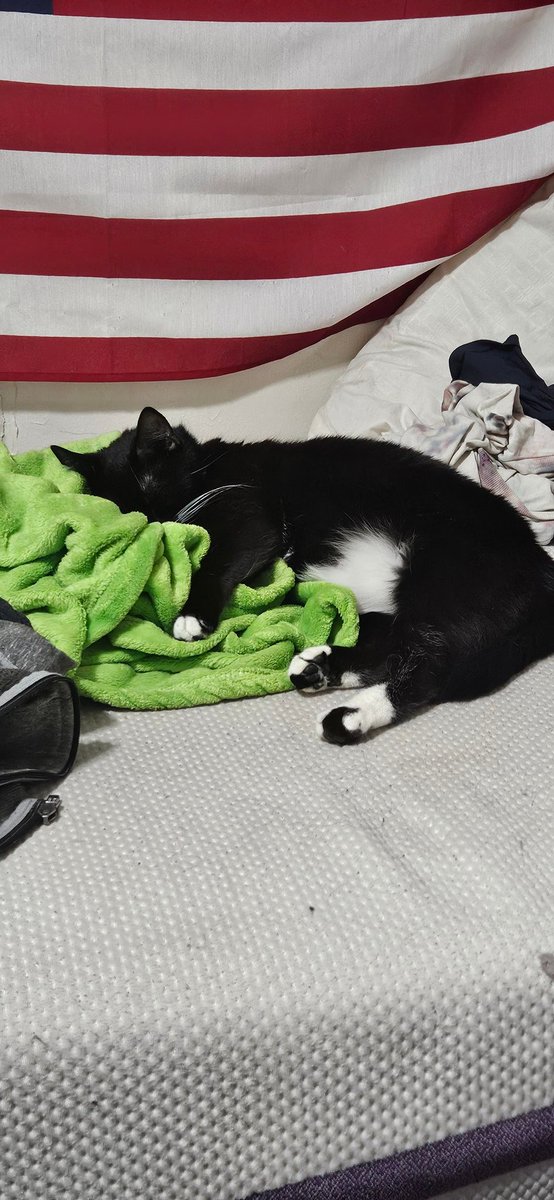 🪦Ghostboy🪦 tweet media