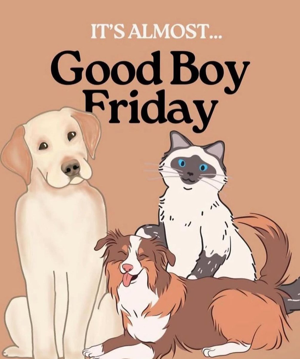 BarstoolStetson's tweet image. You know the drill! DM by Friday at 8 a.m #GoodBoyFriday 🐶
