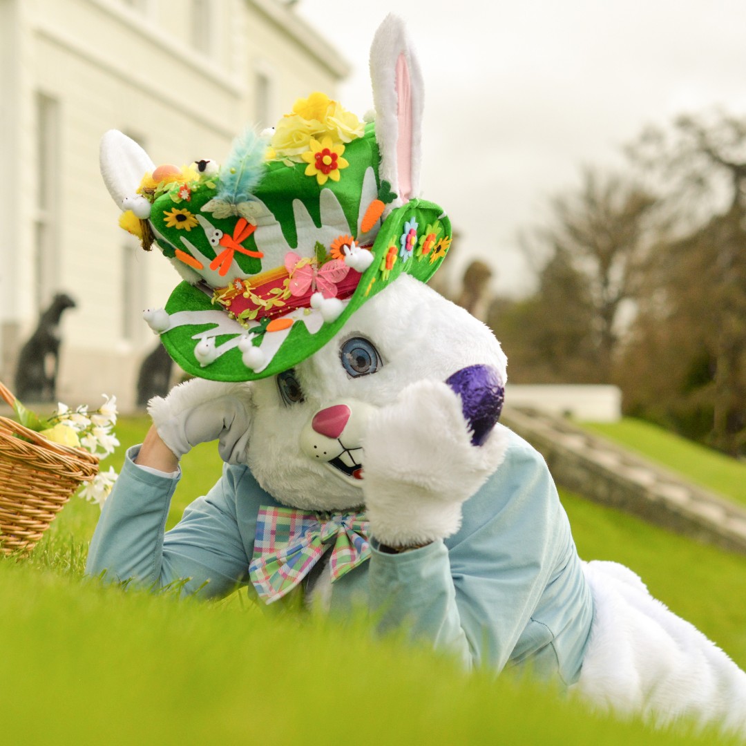 The Easter Bunny and Mother Nature are joining forces for a day of fun, creativity, and outdoor adventure. Think egg hunts under the trees, storytelling in the fresh spring air, and plenty of surprises along the way! 🌸💐