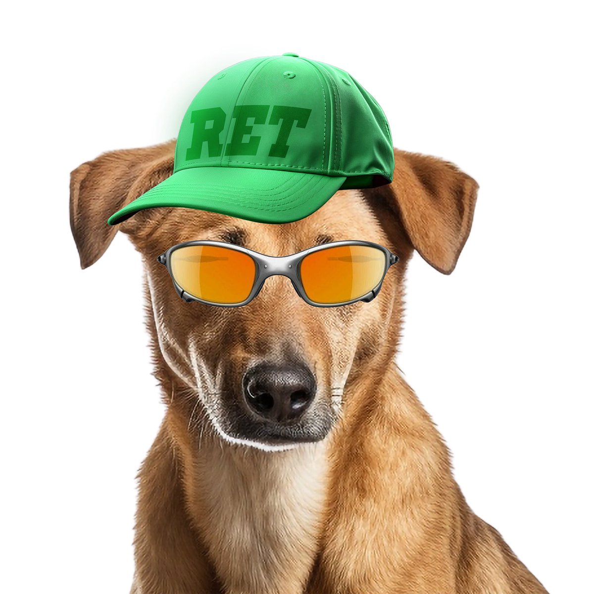 natasha05vlr's tweet image. Oiee! Somos a RET e estamos classificadas para a fase suíça da etapa 1 do Game Changers. Somos um time F/A e buscamos uma org para representar 👊🏻
RT = humilde 🫶🏻

@natasha05vlr 
@babxllz 
@patipaschoal (IGL)
@mizzyfps_ 
@lendaryfps 

@dyxfps (C)

Contato: Natasha05vlr@gmail.com