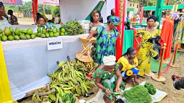 info_tikodro's tweet photo. Le Salon national de l'entrepreneuriat féminin en Centrafrique, initié par FAFECA, offre aux femmes entrepreneures une plateforme d'opportunités pour valoriser leurs compétences et renforcer leur autonomie. #entrepreneuriatfeminin #FAFECA #Centrafrique https://t.co/vNqvqE8iDF