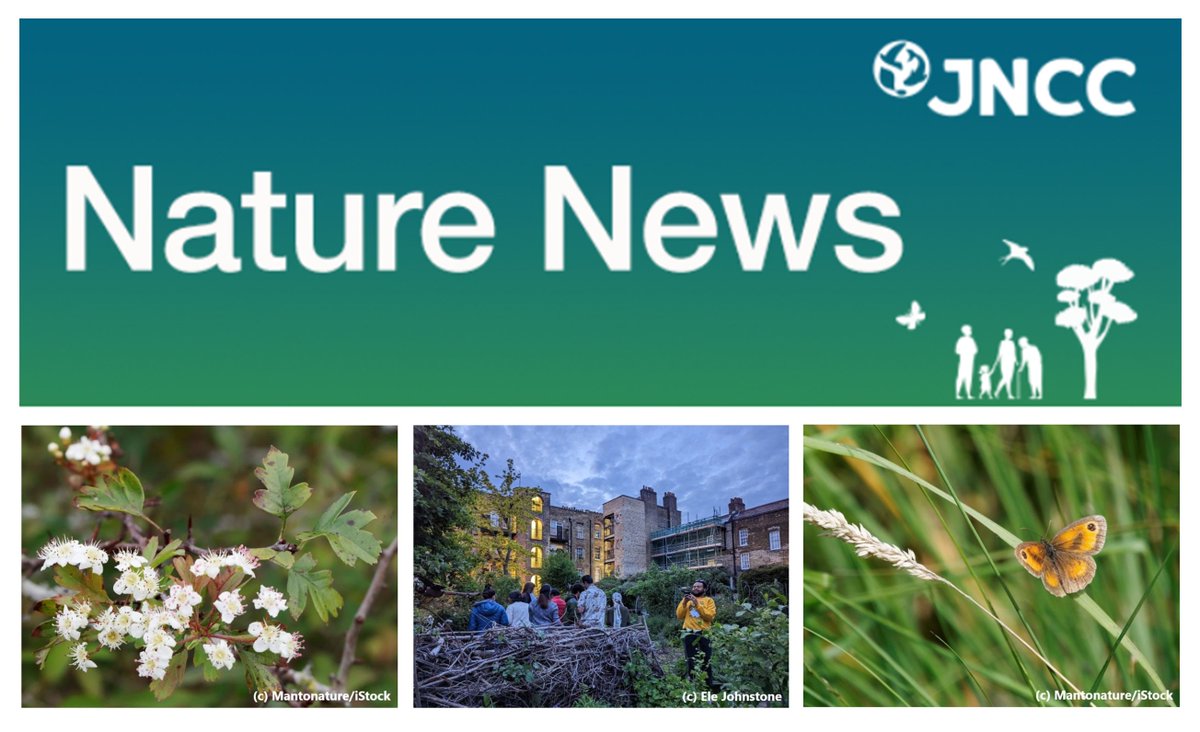 JNCC_UK's tweet image. 👀Latest edition of our e-newsletter out now!  

In this issue, we discuss #DEI in JNCC monitoring schemes, the UK's 1st signs of spring, effects of #NitrogenPollution on butterflies &amp;amp; moths, &amp;amp; launch of the UK #NBSAP 

Sign-up to hear about our work 👇
eepurl.com/i0uBAA