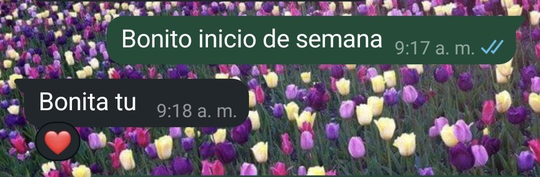 SenaPl's tweet photo. Le perdono que no pusiera tú con acento 🥰 https://t.co/zocip3XDIY