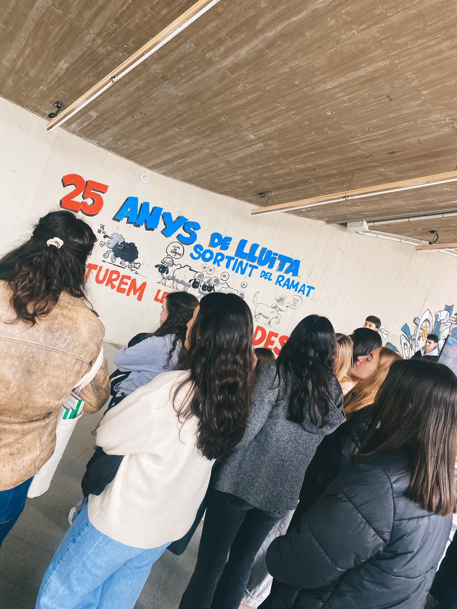 InsMColomer's tweet photo. 🏫 Dijous, l’alumnat de 2n de batxillerat va visitar la Universitat Autònoma de Barcelona! 

Va gaudir d’una visita guiada per conèixer les instal·lacions, les facultats, els espais pels estudiants… I han pogut resoldre dubtes de l’experiència que estan a punt de començar! 🫢😍 https://t.co/KXhVh5wx02